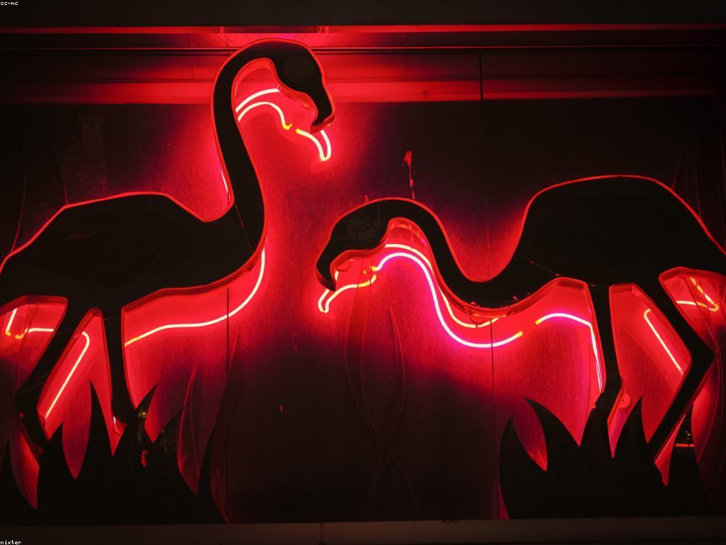 បច្ចេកវិទ្យាកាស៊ីណូ: ការបំពេញបន្ថែមនៃសេវាកម្មជាសកល