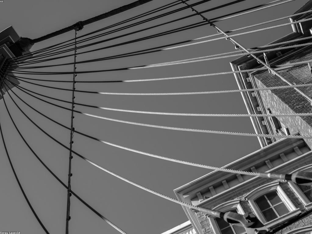 ផលប៉ះពាល់នៃបច្ចេកវិទ្យា ក្នុងកាស៊ីណូ